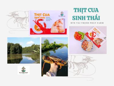 Thịt Cua sinh thái