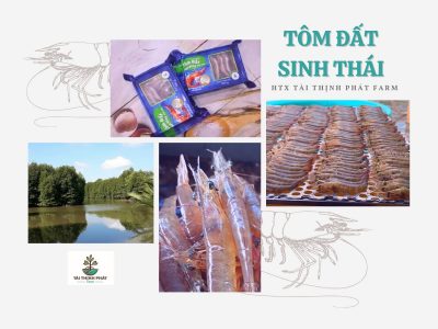 Tôm đất ngủ đông sinh thái 300g