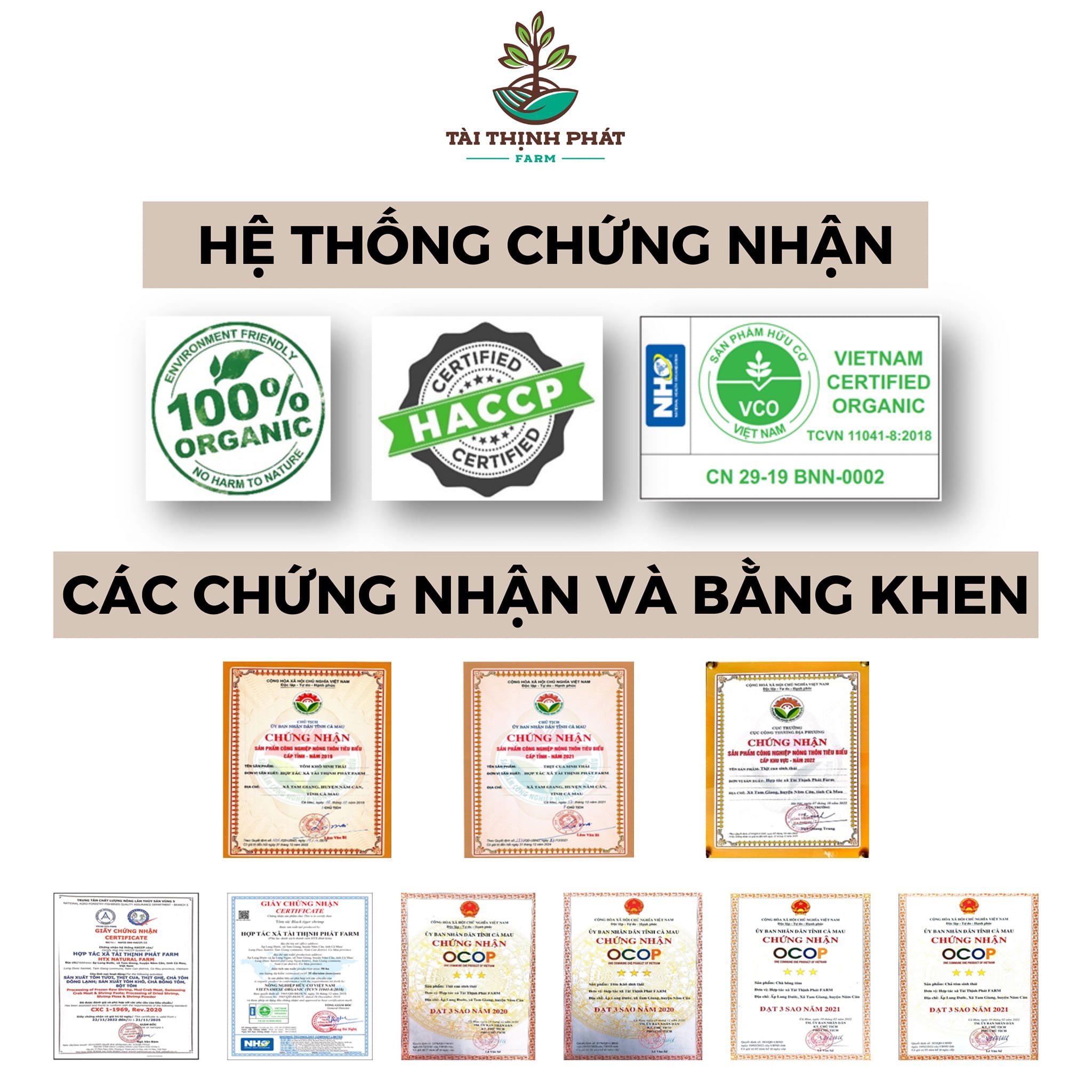 CÁC THÀNH TỰU NỔI BẬT CỦA HTX TÀI THỊNH PHÁT FARM