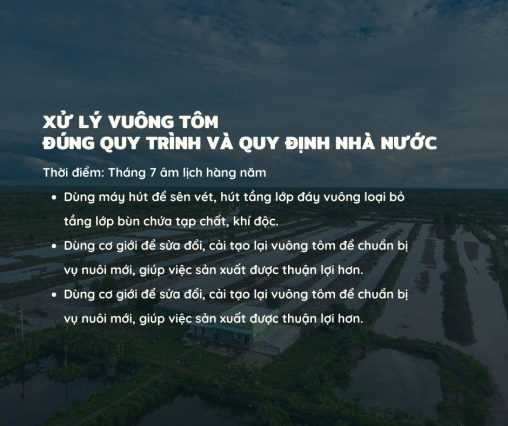 XỬ LÝ VUÔNG TÔM ĐÚNG QUY TRÌNH VÀ QUY ĐỊNH NHÀ NƯỚC