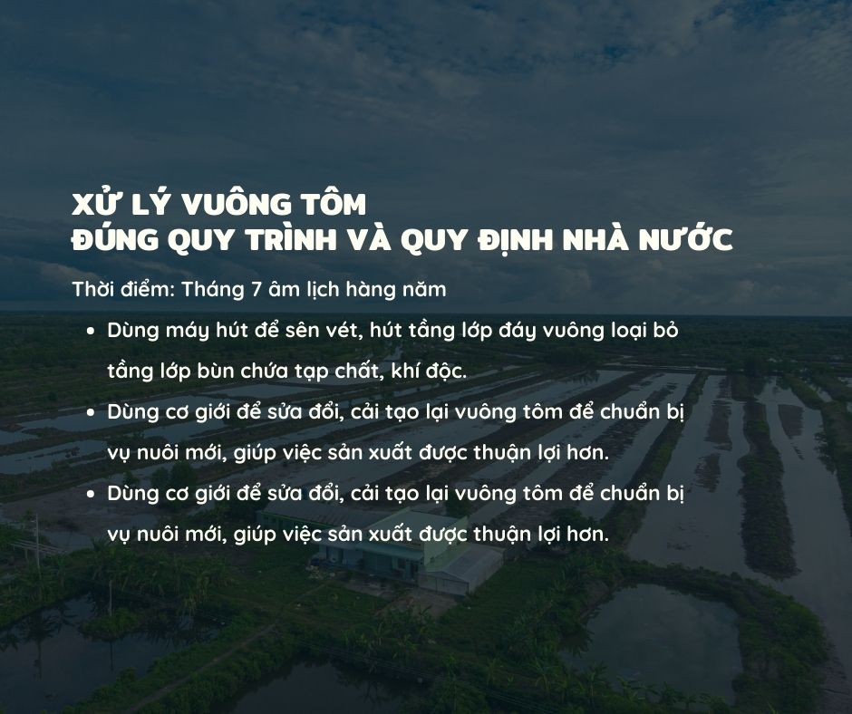 XỬ LÝ VUÔNG TÔM ĐÚNG QUY TRÌNH VÀ QUY ĐỊNH NHÀ NƯỚC